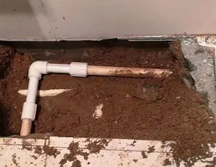 德宏测漏水哪家好