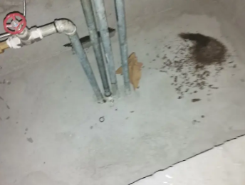 德宏卫生间测漏水价格明细